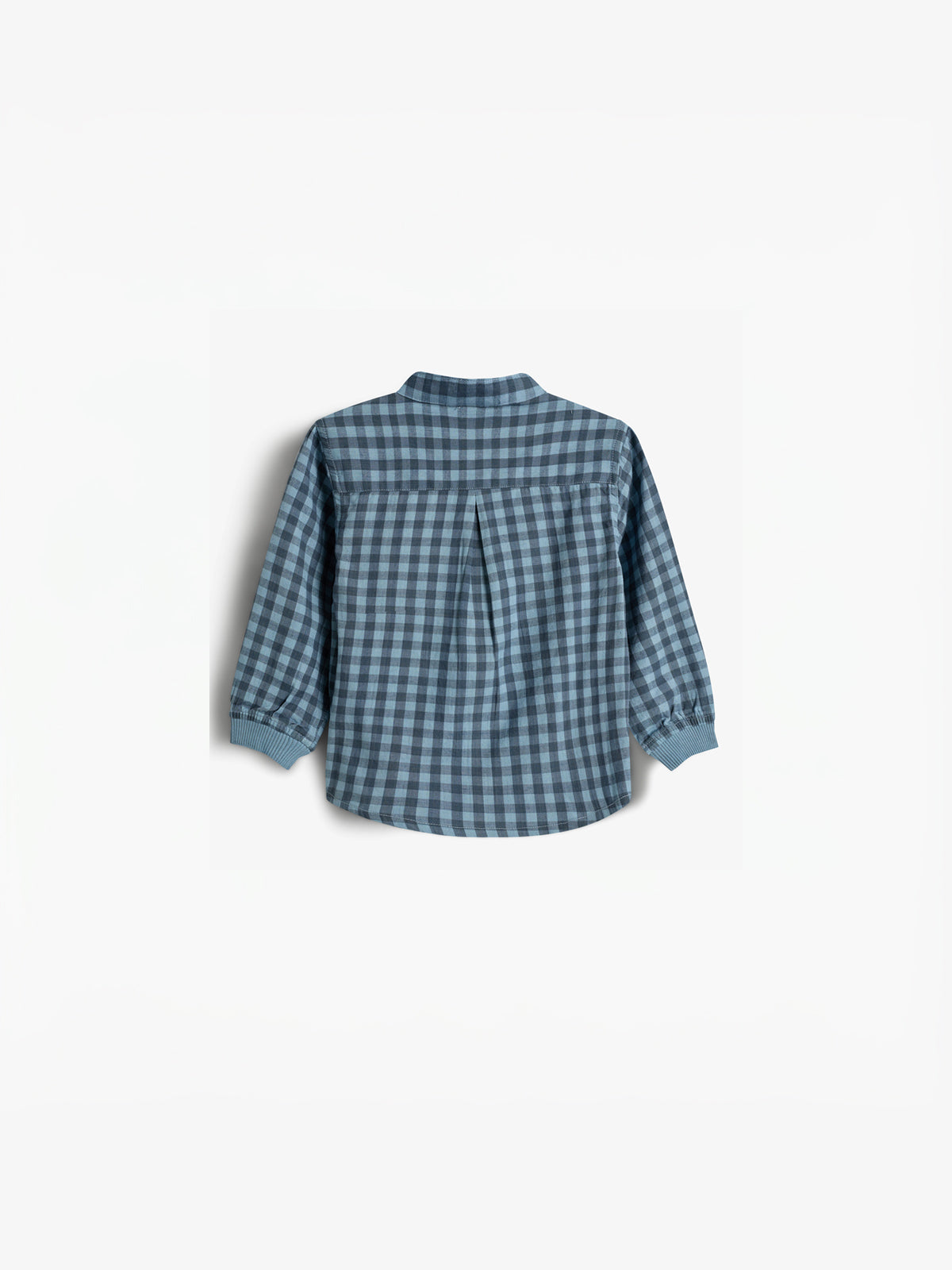 Gingham Katoenen Overhemd - Little - Blue