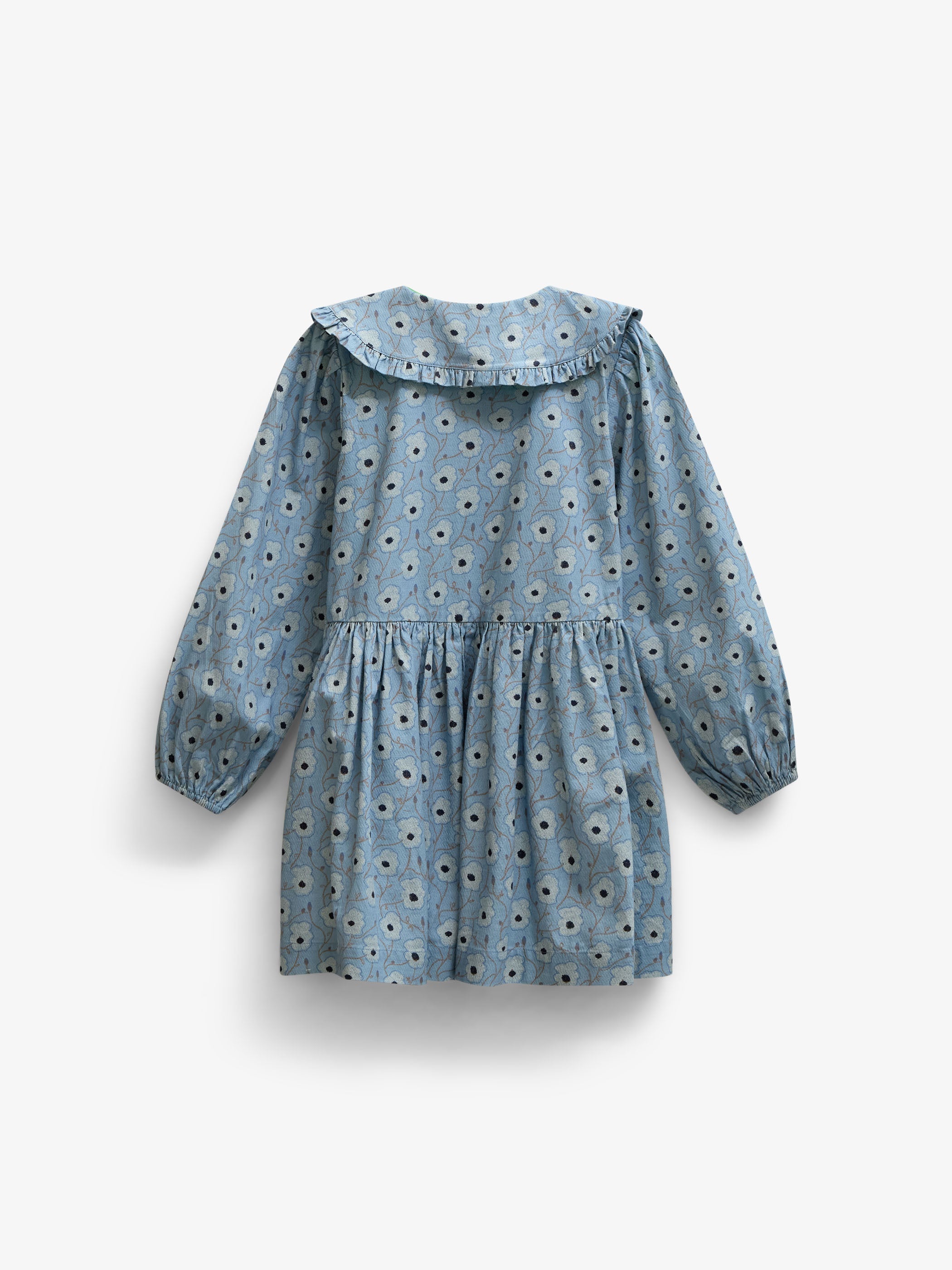 Floral Cotton Dress with Collar - Tween - Blue/Brown | 101428 Nova