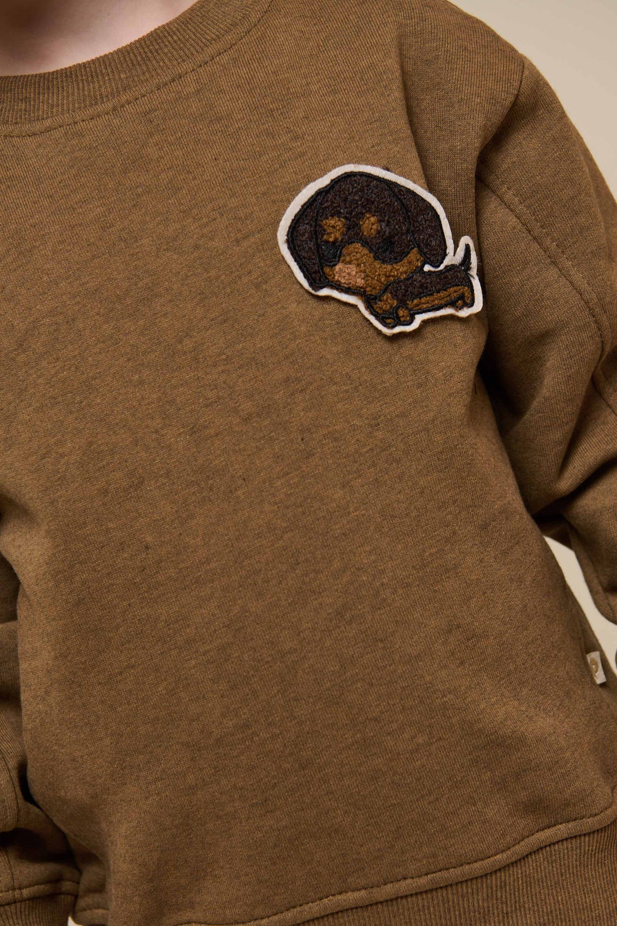 Crewneck Sweatshirt - Kids - Coffe Melange | 100890 Justin
