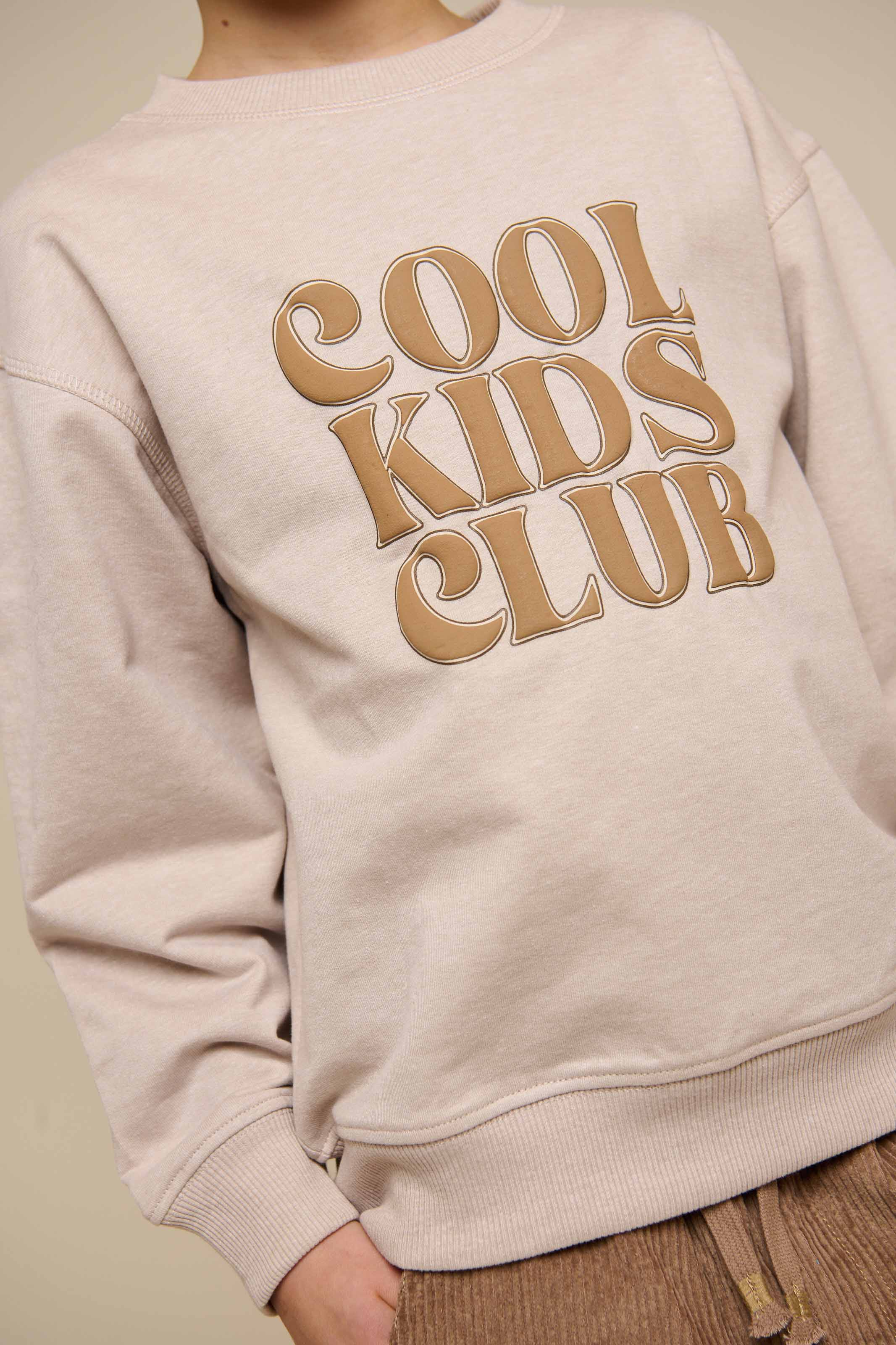 Crewneck sweatshirt - Tween - Nature melange | 101164 Nathan
