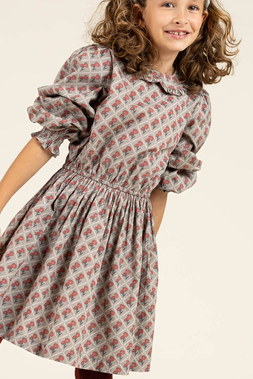 Bedrukte katoenen popeline jurk met elastiek in de taille - Tween - Green w. Vintage Red | 100800 Amine