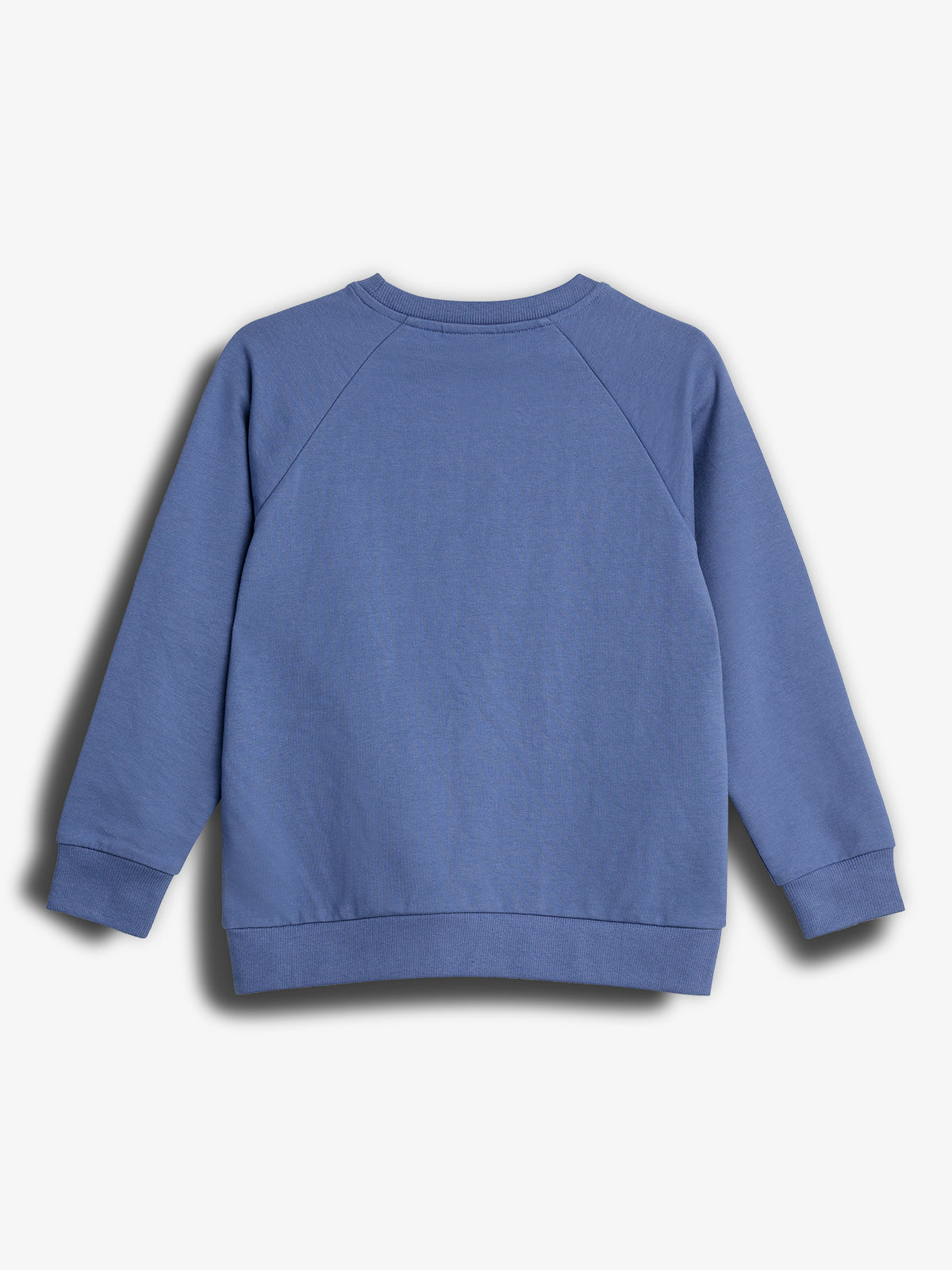 Crewneck sweatshirt - Tween - Dusty Cobalt | 100366 Ryan
