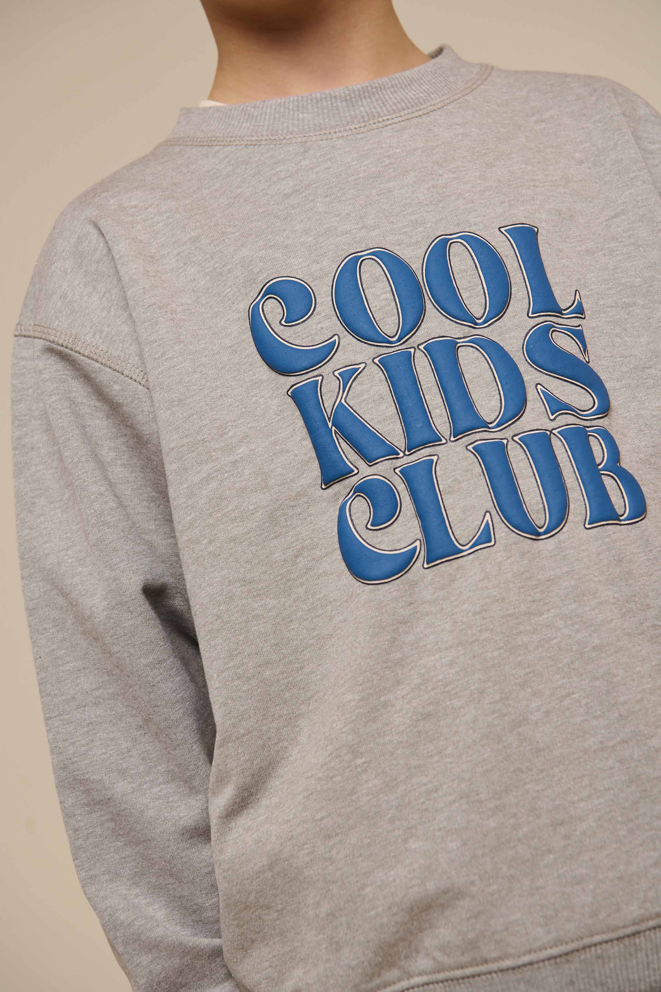 Crewneck sweatshirt - Tween - Grey melange | 101162 Nathan